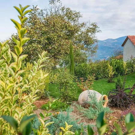 Anotopos * אנו טריקאלה