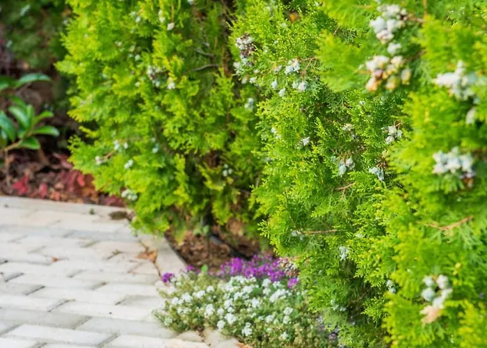 Anotopos Apartamento *