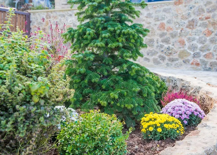 Anotopos * أنو تريكالا